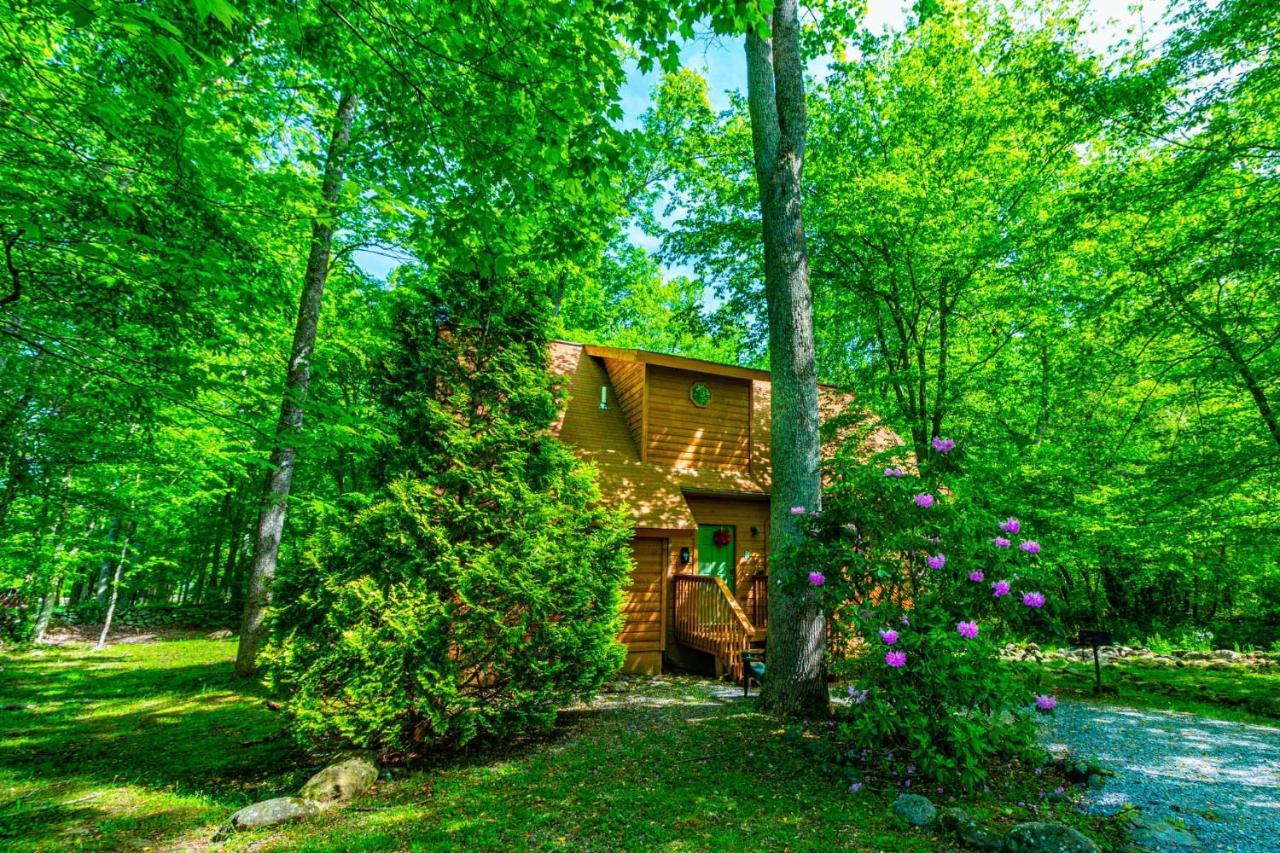 Bear Footin' On The Creek Villa แกตลิงเบิร์ก ภายนอก รูปภาพ