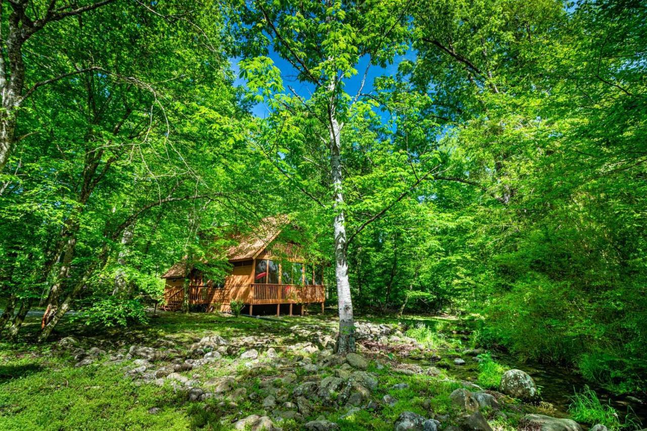 Bear Footin' On The Creek Villa แกตลิงเบิร์ก ภายนอก รูปภาพ